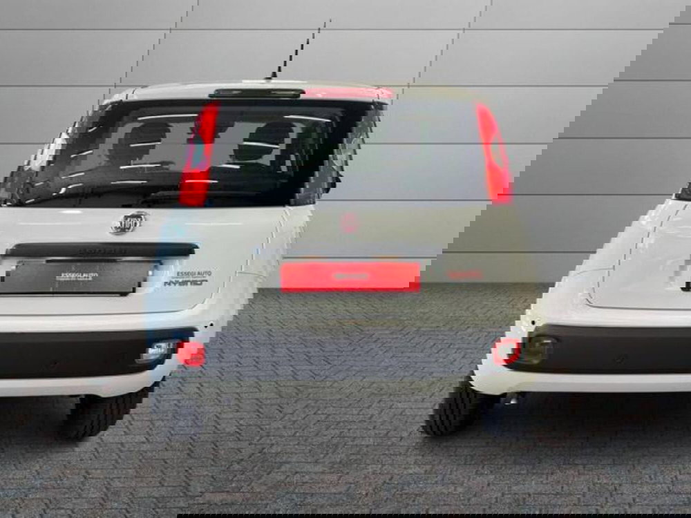 Fiat Pandina nuova a Vercelli (4)