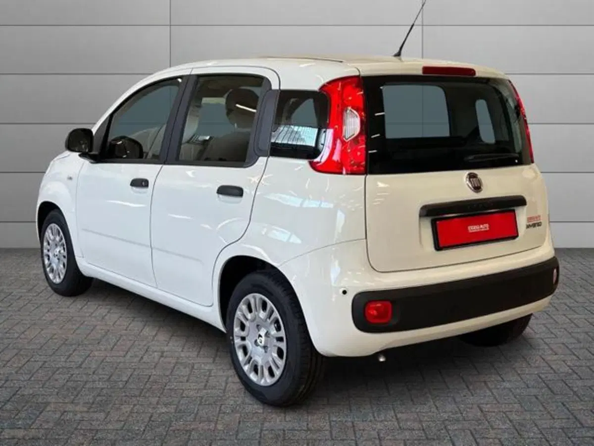 Fiat Pandina nuova a Vercelli (5)