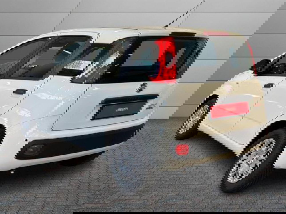 Fiat Pandina nuova a Vercelli (5)