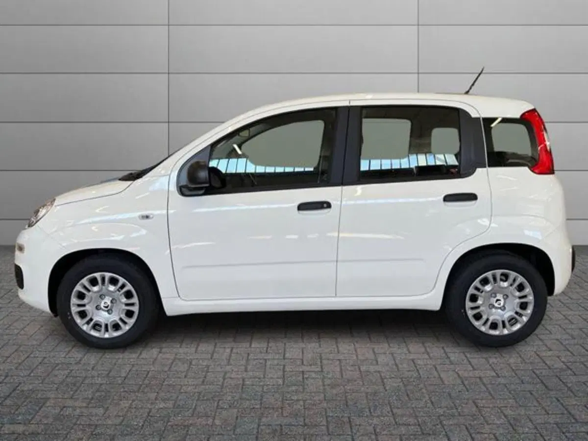 Fiat Pandina nuova a Vercelli (6)