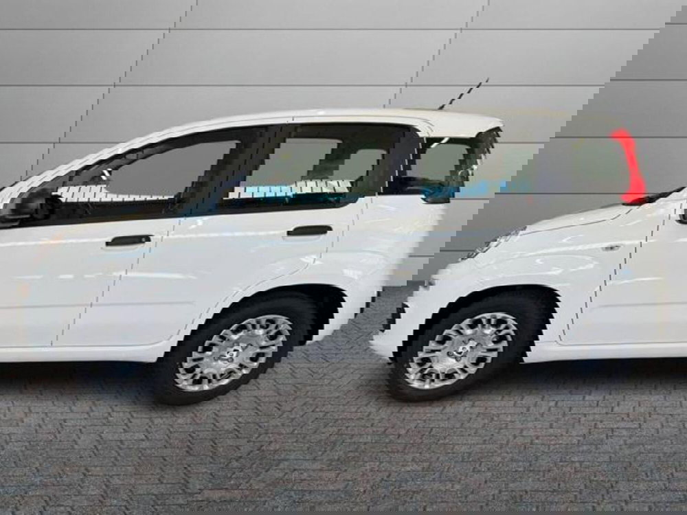 Fiat Pandina nuova a Vercelli (6)