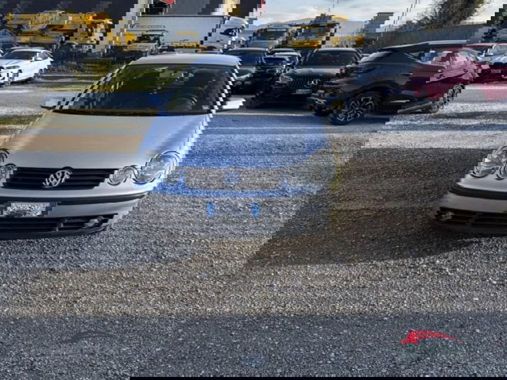 Volkswagen Polo usata a Perugia