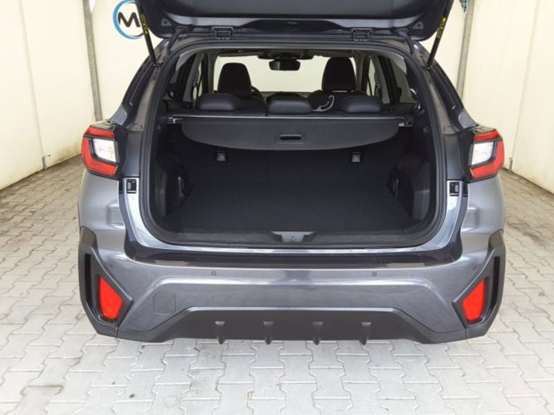 Subaru Crosstrek usata a Firenze (15)