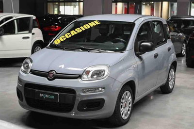 Fiat Panda 1.0 firefly hybrid s&amp;s 70cv 5p.ti del 2021 usata a Pianezza