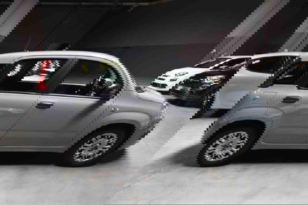 Fiat Panda usata a Torino (4)