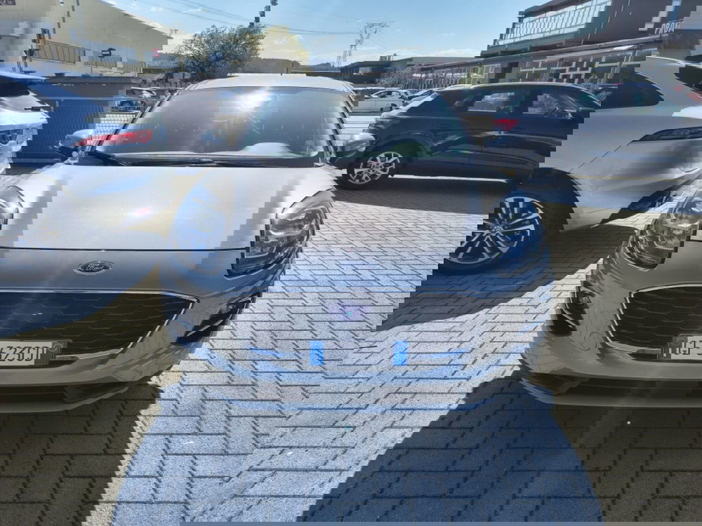 Ford Puma usata a Firenze (2)