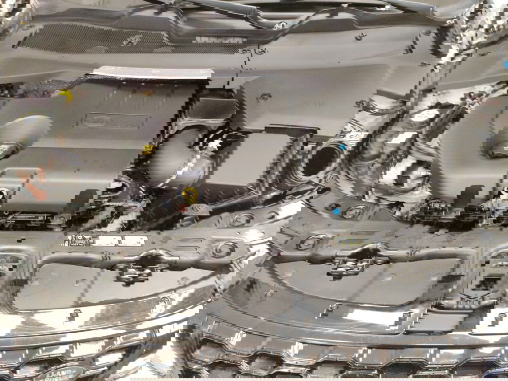 Land Rover Range Rover Evoque usata a Teramo (10)