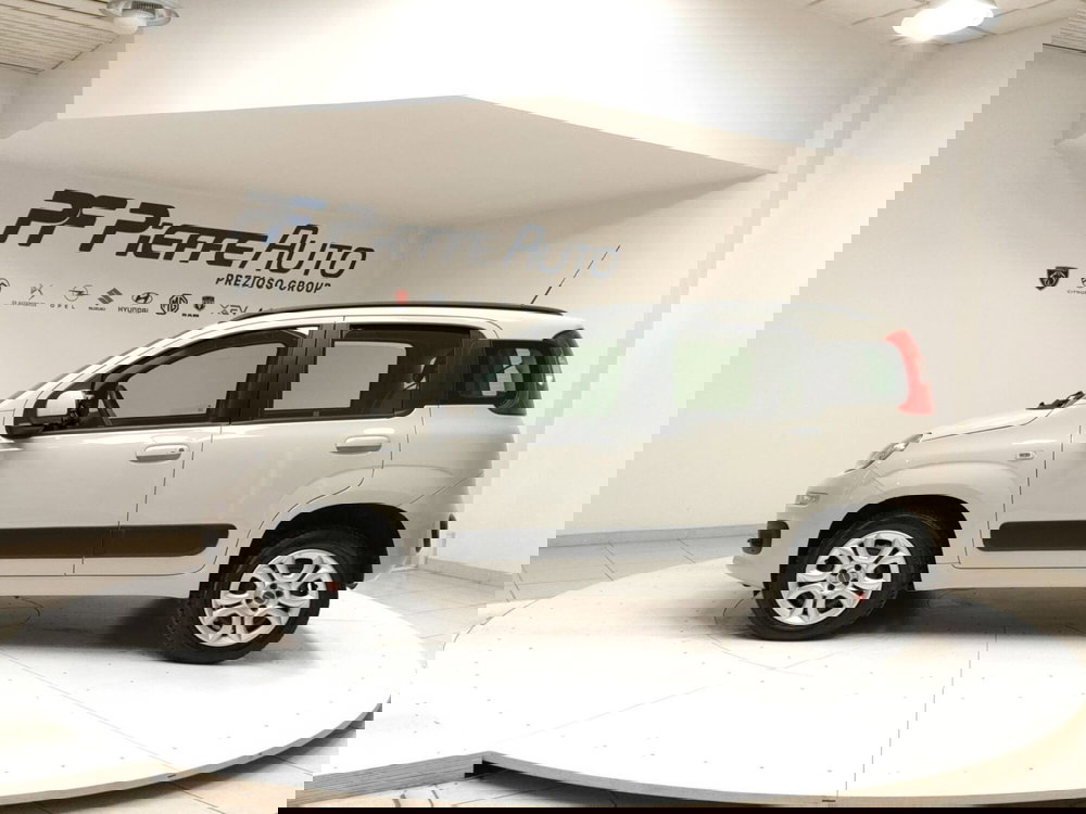 Fiat Panda usata a Teramo (2)