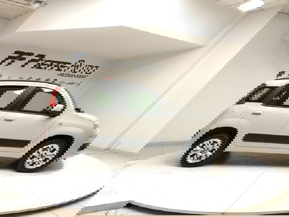 Fiat Panda usata a Teramo (5)