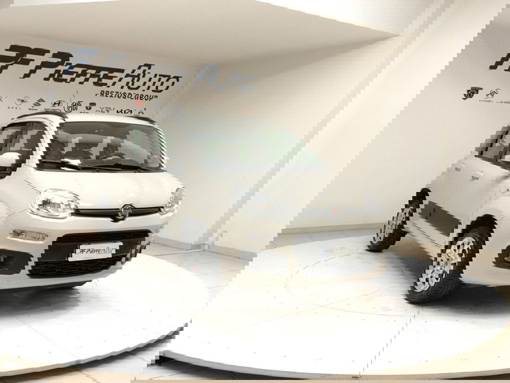 Fiat Panda usata a Teramo (6)