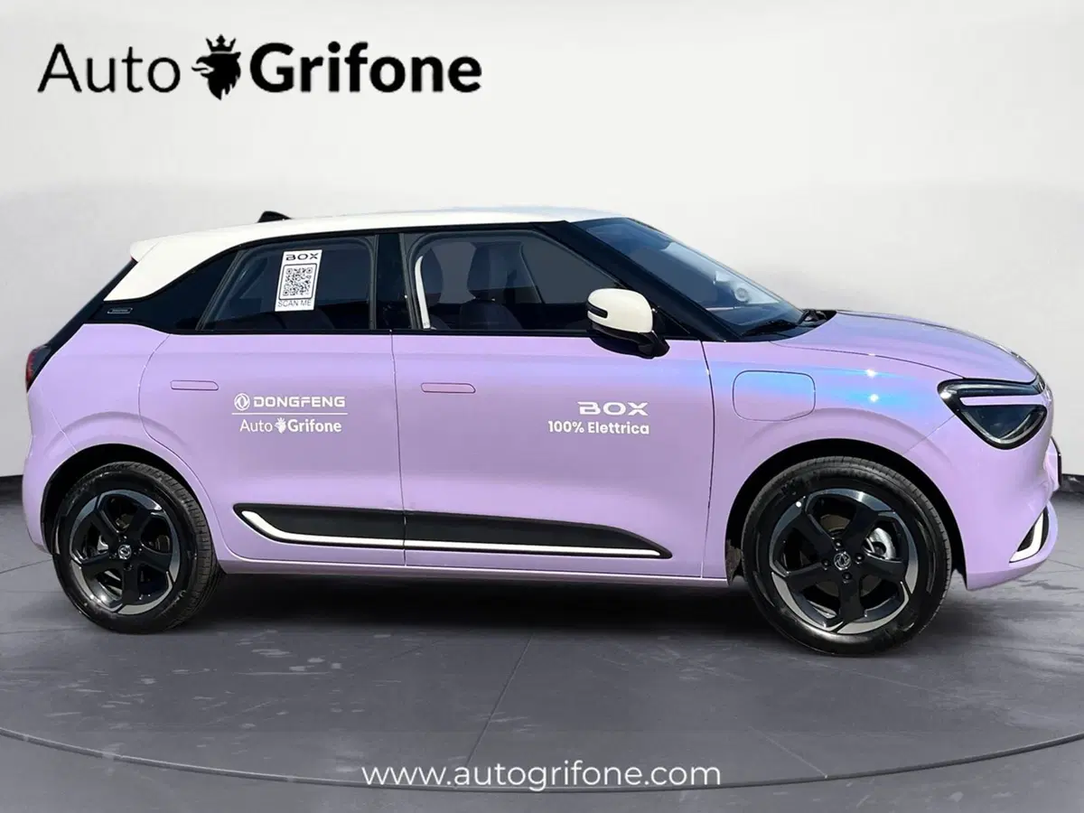 Dongfeng Box  nuova a Modena (6)