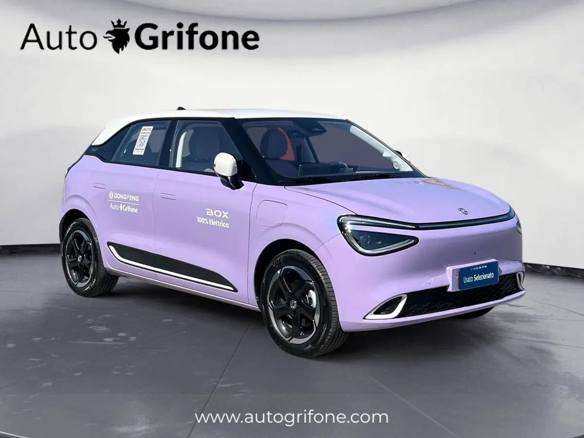 Dongfeng Box  nuova a Modena (7)