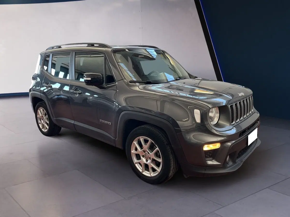 Jeep Renegade usata a Torino (2)