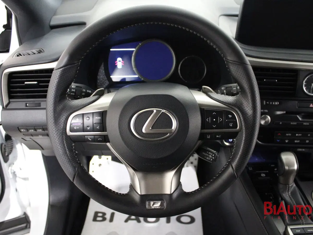 Lexus RX usata a Firenze (11)