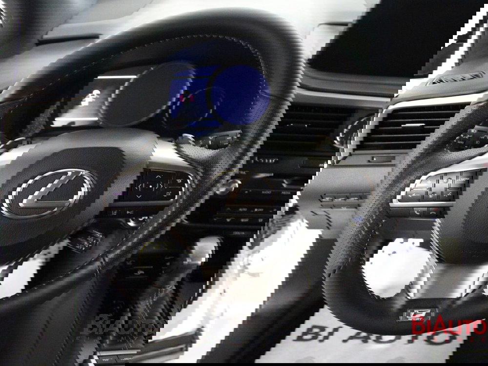 Lexus RX usata a Firenze (11)