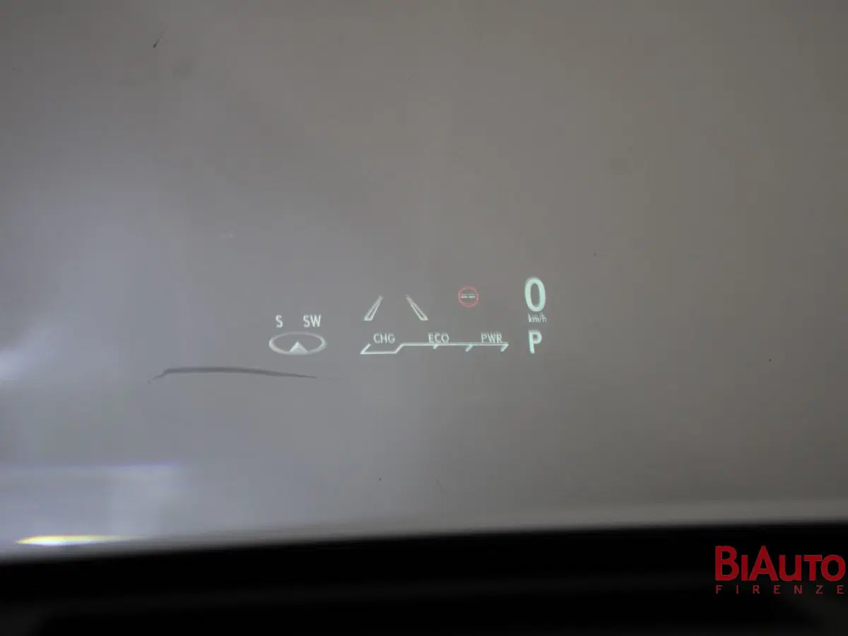 Lexus RX usata a Firenze (13)