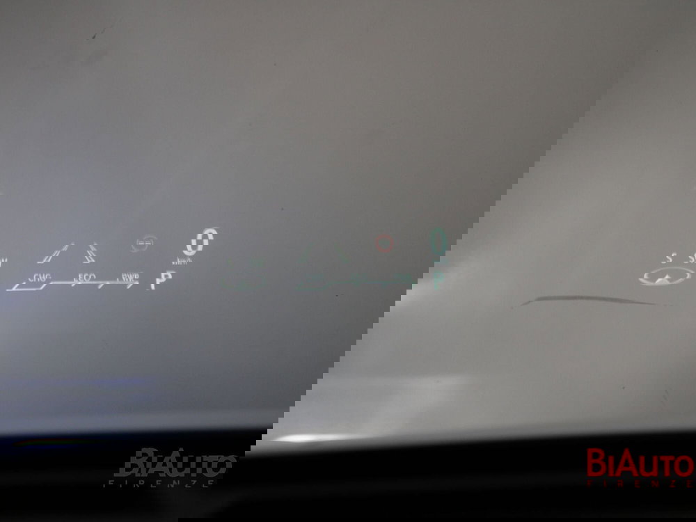 Lexus RX usata a Firenze (13)