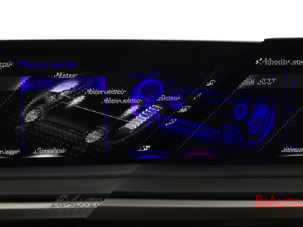 Lexus RX usata a Firenze (16)