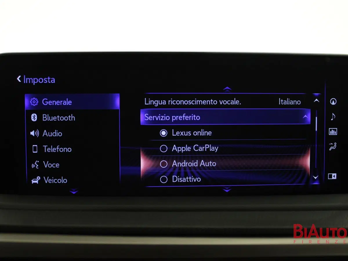 Lexus RX usata a Firenze (17)