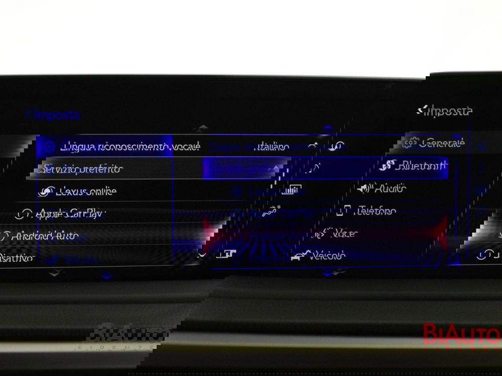 Lexus RX usata a Firenze (17)