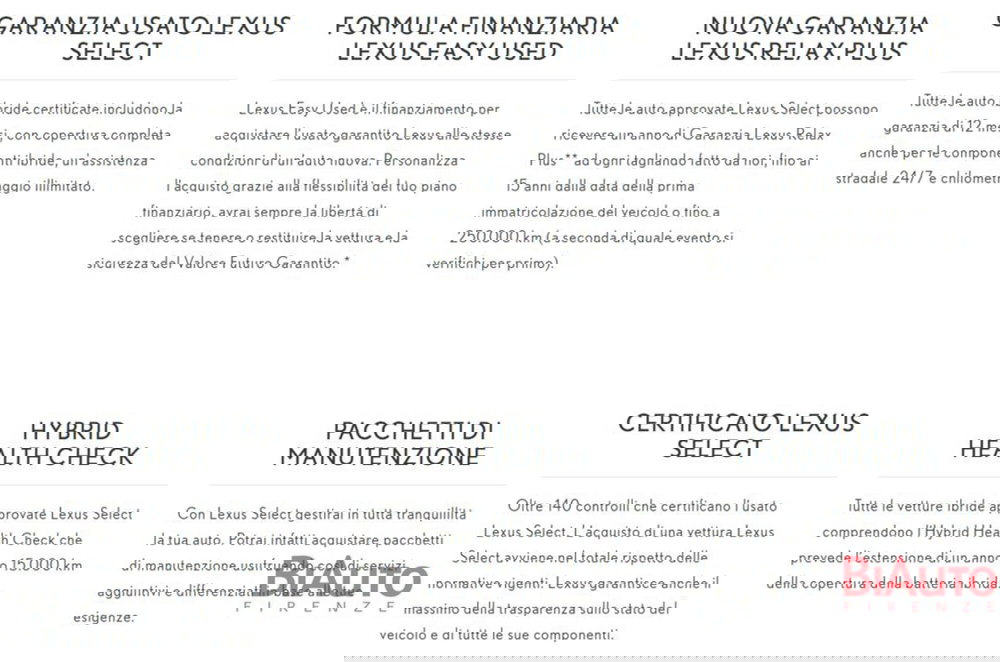 Lexus RX usata a Firenze (2)