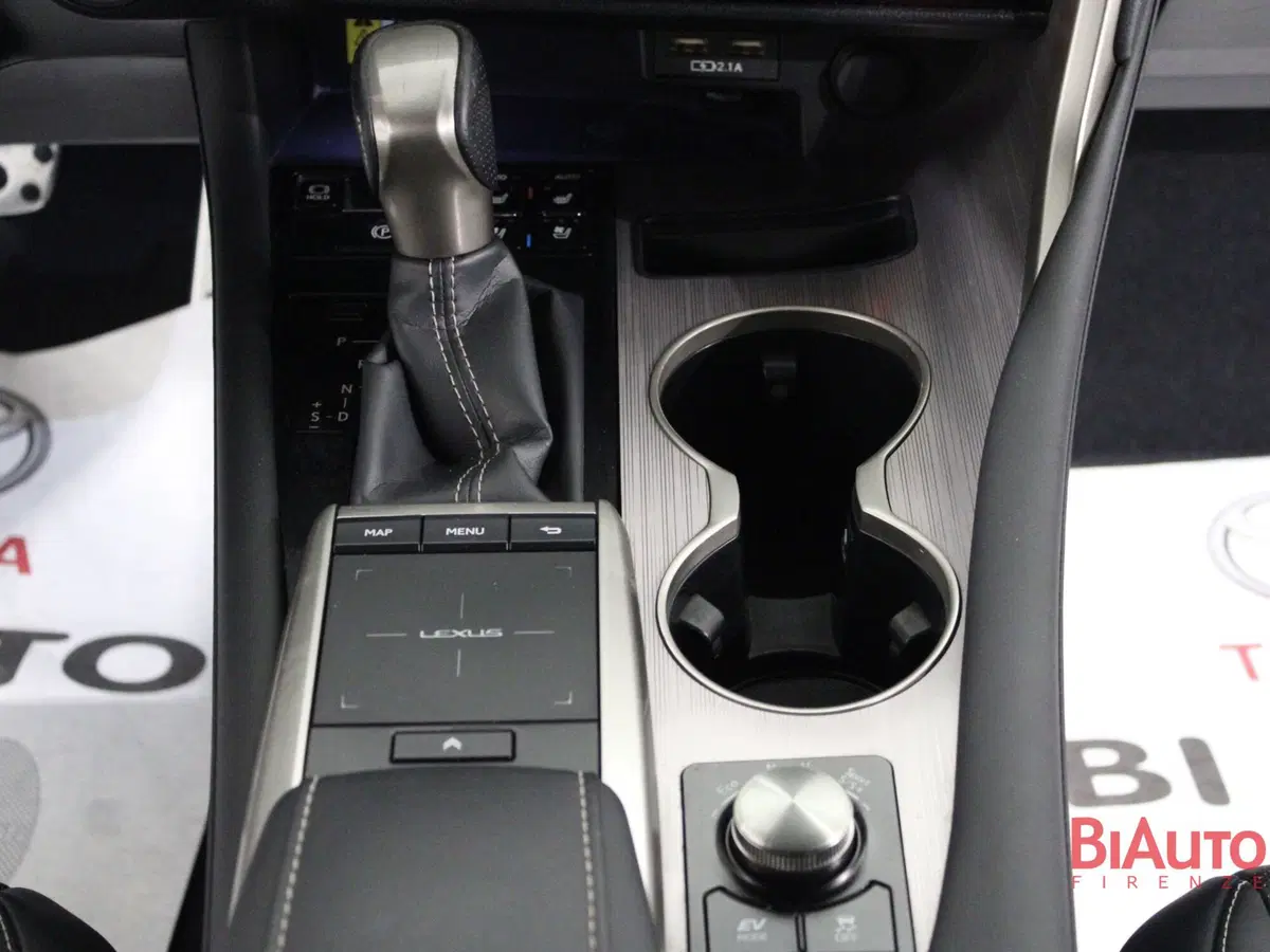 Lexus RX usata a Firenze (20)
