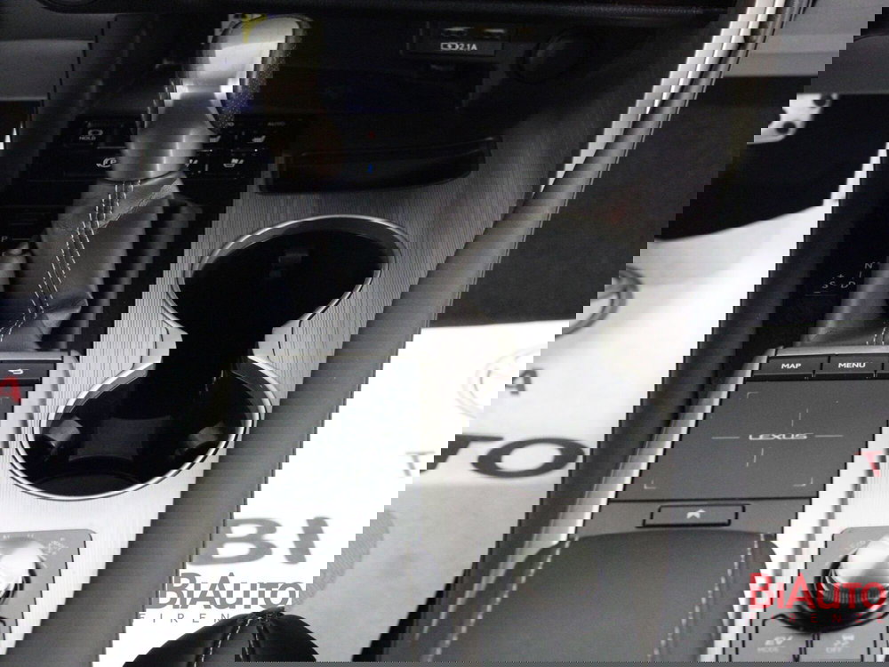 Lexus RX usata a Firenze (20)