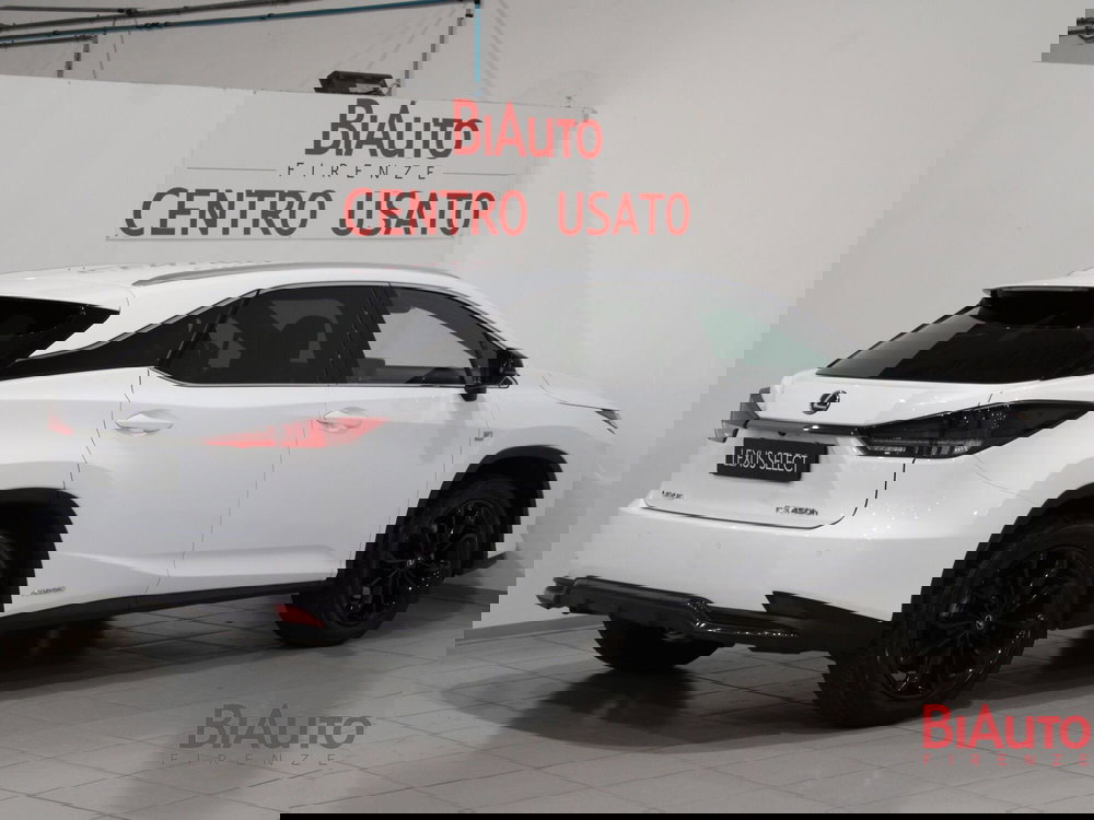 Lexus RX usata a Firenze (3)