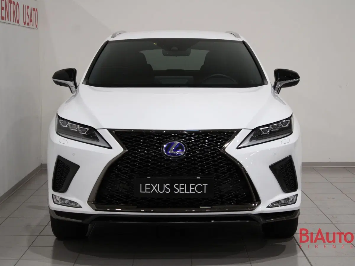 Lexus RX usata a Firenze (4)
