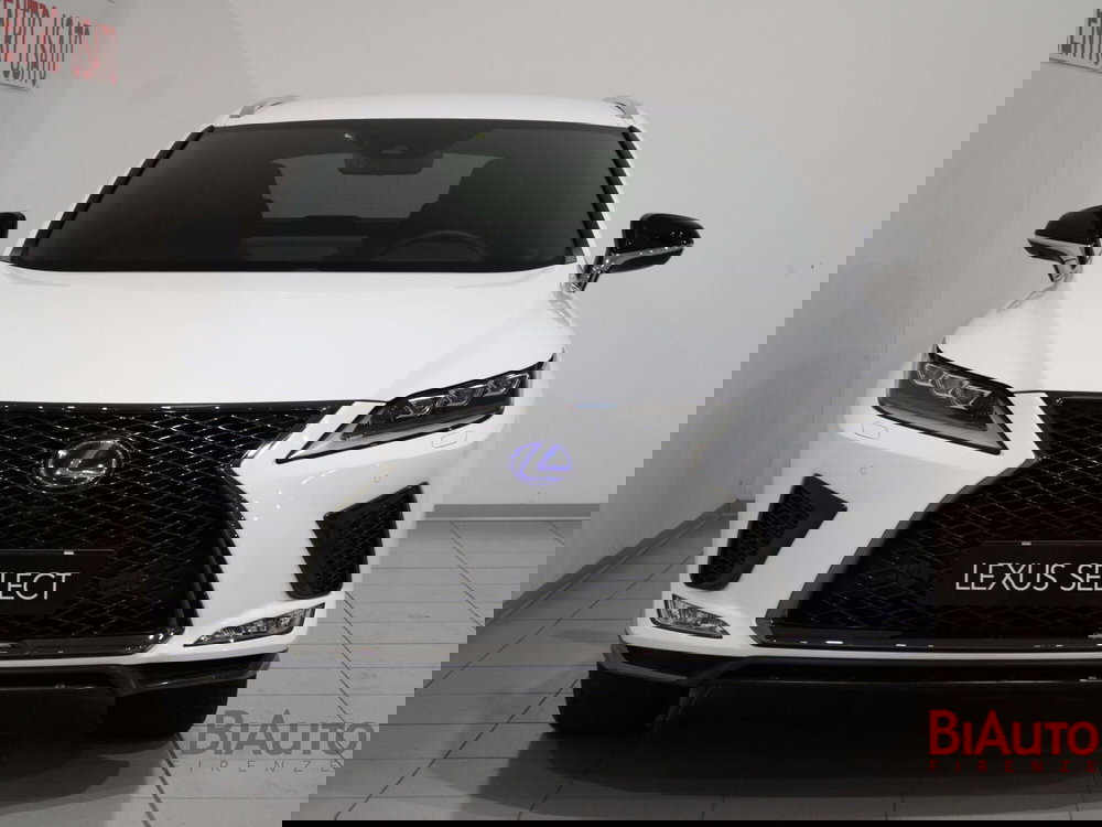 Lexus RX usata a Firenze (4)