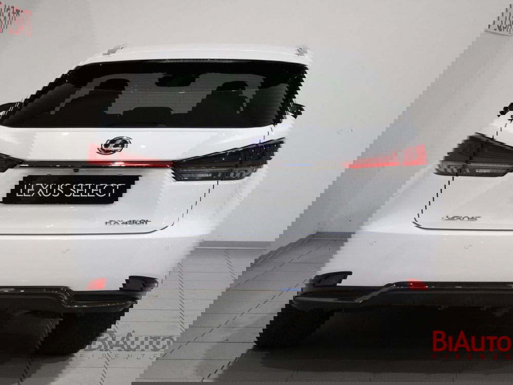 Lexus RX usata a Firenze (5)