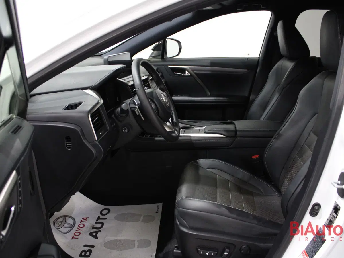 Lexus RX usata a Firenze (6)