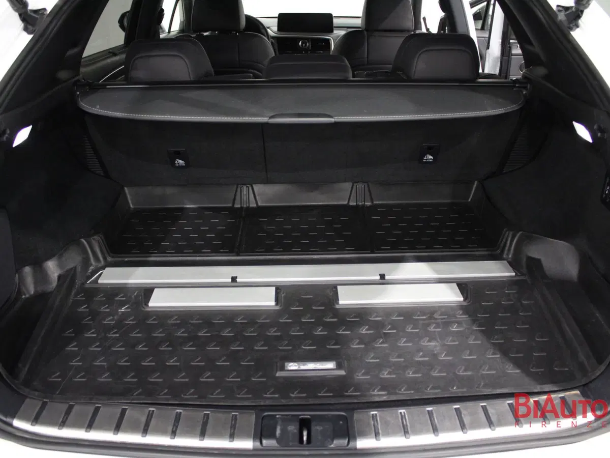 Lexus RX usata a Firenze (9)