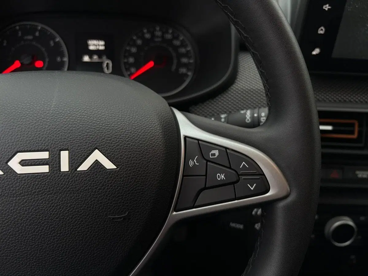 Dacia Sandero usata a Vercelli (9)