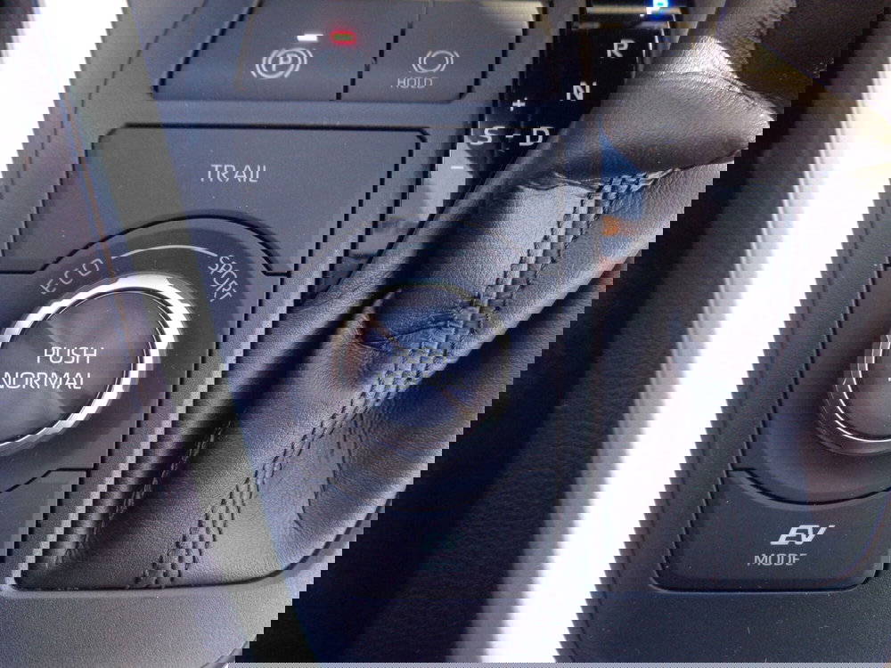 Toyota Rav4 usata a Treviso (20)