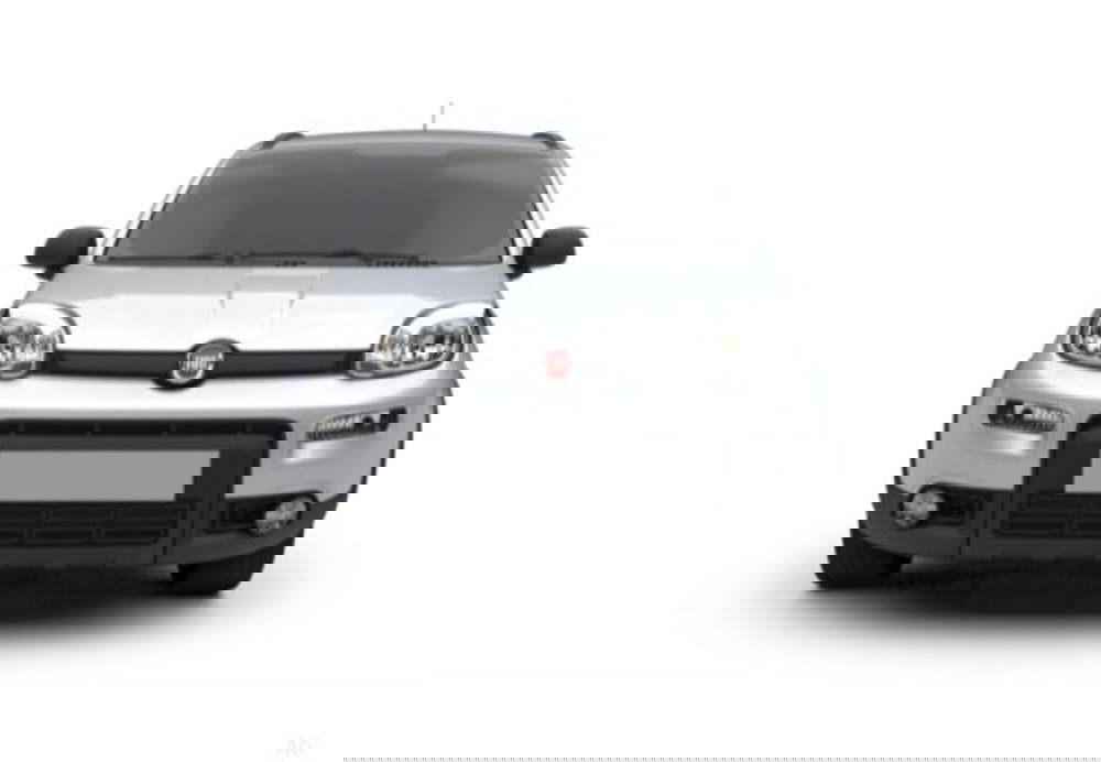 Fiat Panda usata a Palermo (14)