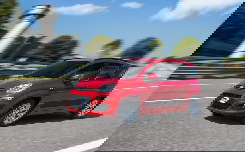 Fiat Panda usata a Palermo (2)