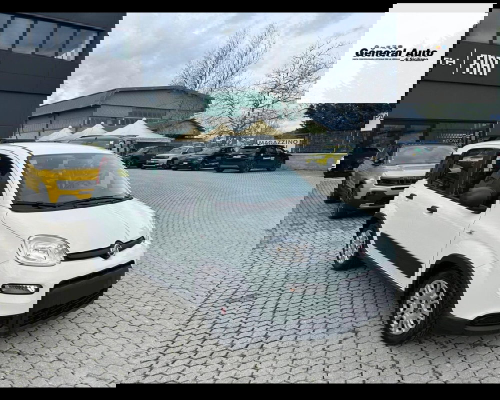 Fiat Panda usata a Lucca