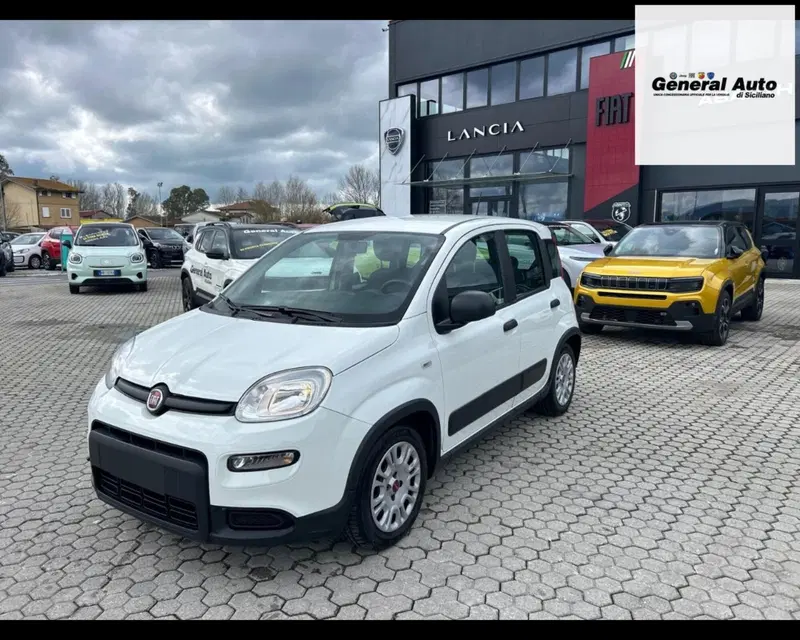Fiat Panda usata a Lucca (3)