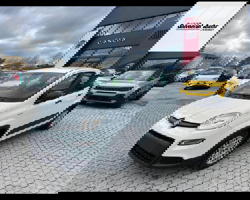 Fiat Panda usata a Lucca (3)