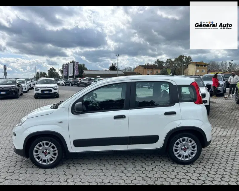 Fiat Panda usata a Lucca (4)