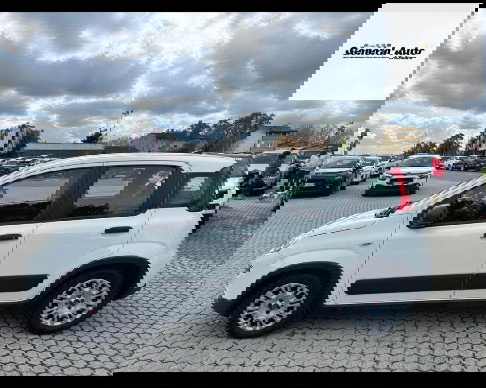 Fiat Panda usata a Lucca (4)