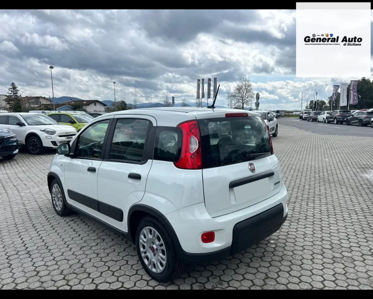 Fiat Panda usata a Lucca (5)