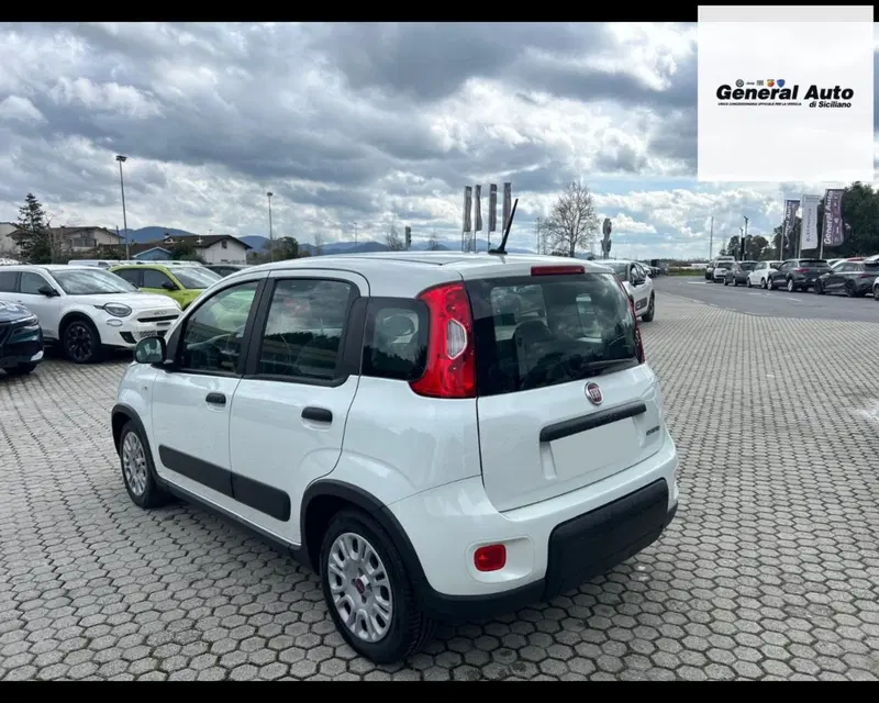 Fiat Panda usata a Lucca (5)