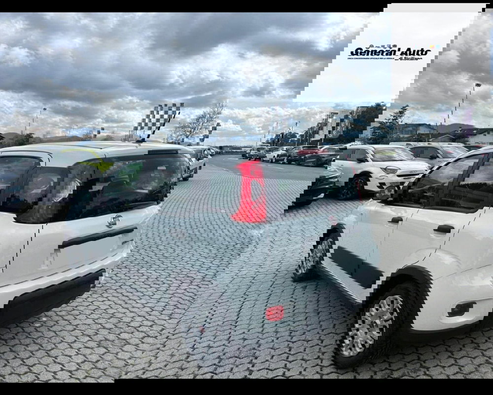 Fiat Panda usata a Lucca (5)