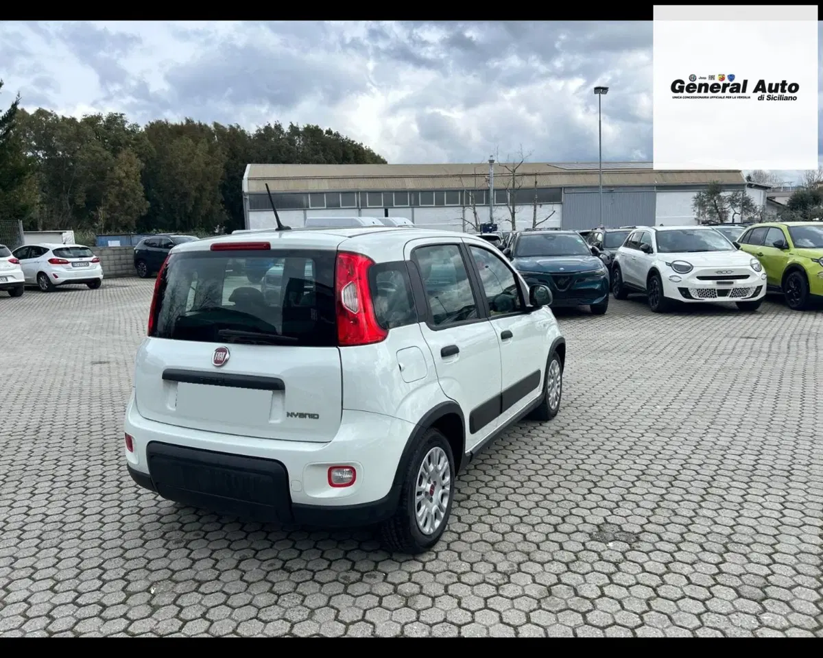 Fiat Panda usata a Lucca (8)