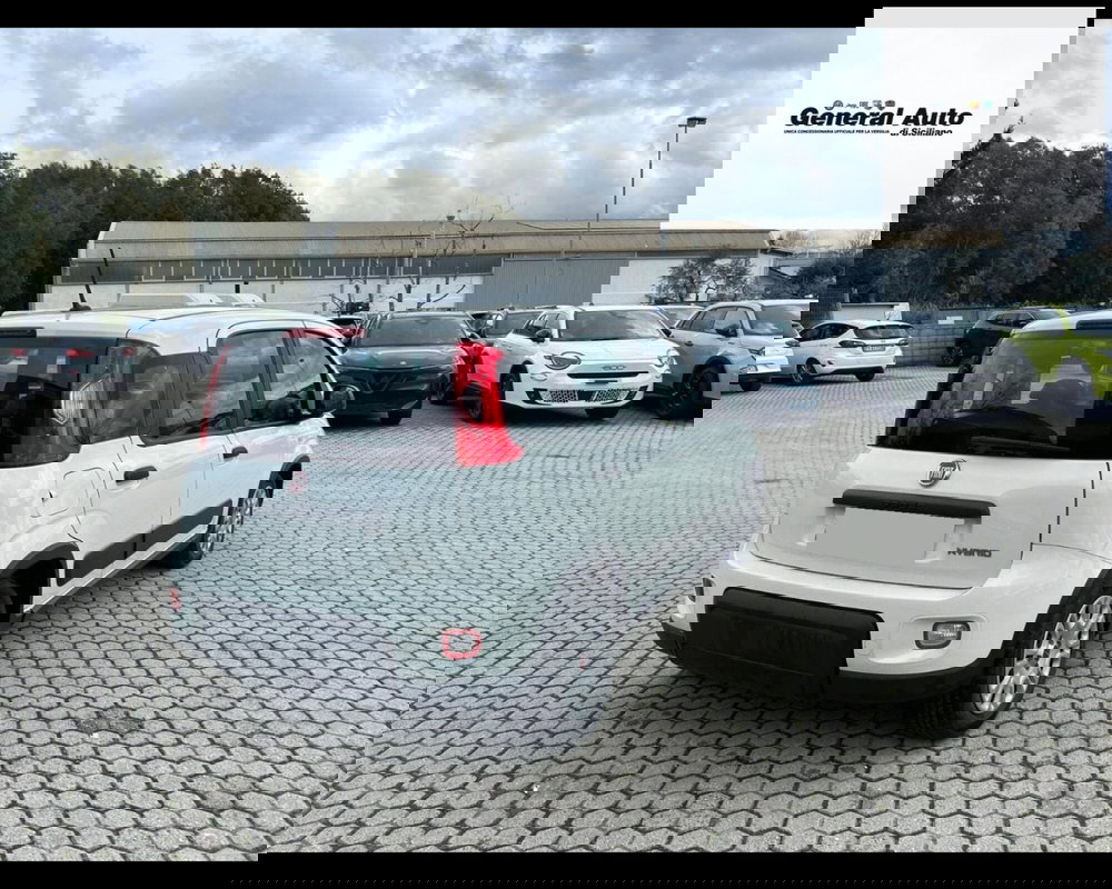 Fiat Panda usata a Lucca (8)