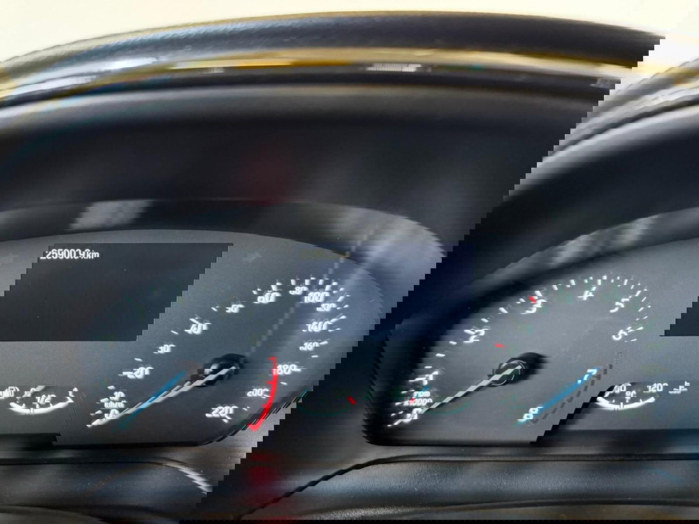 Ford Puma usata a Monza e Brianza (8)