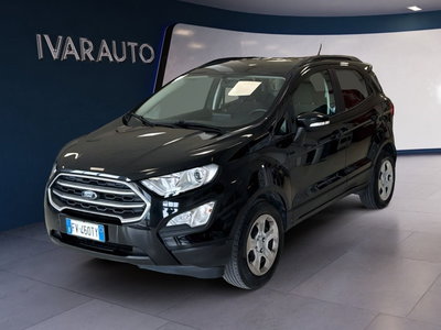 Ford EcoSport 1.0 EcoBoost 100 CV Plus del 2019 usata a Arezzo