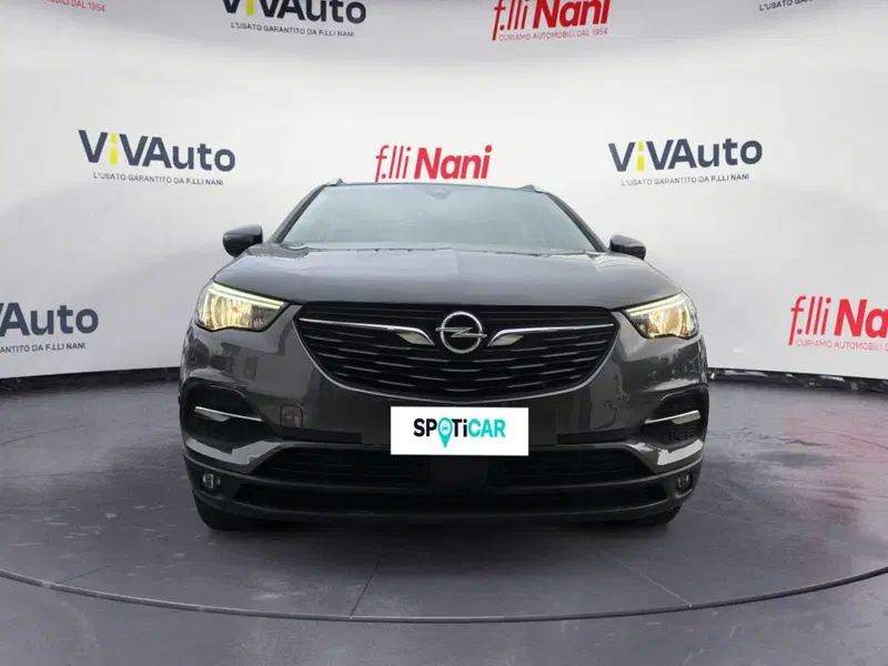 Opel Crossland X usata a Massa-Carrara (3)